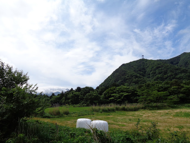 県道305号線の大山佐摩線からツバヌキ山を望む