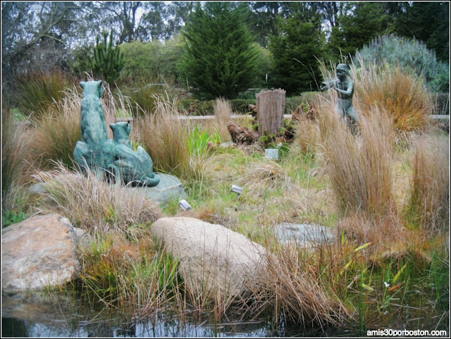 Golden Gate Park: "Pool of Enchantment"