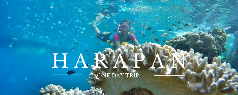 one day trip satu hari di pulau harapan