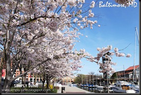 Baltimore2