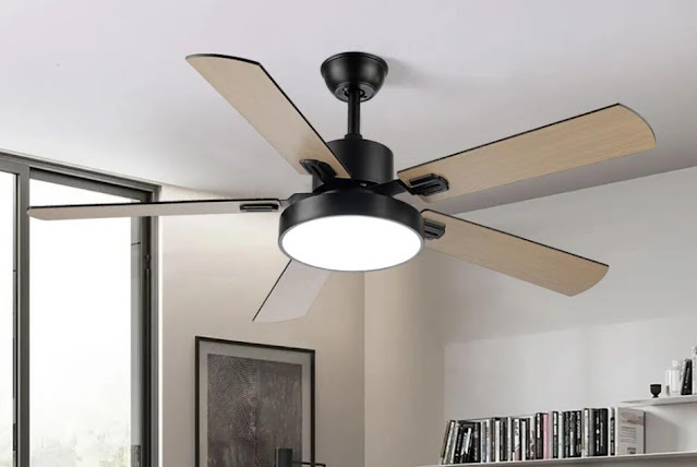 Large Ceiling Fan