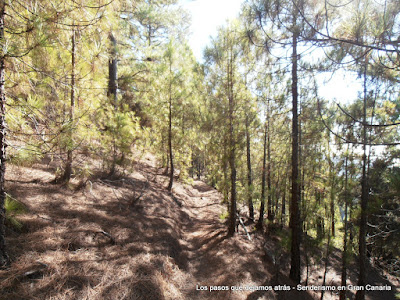 Camino en Tamadaba