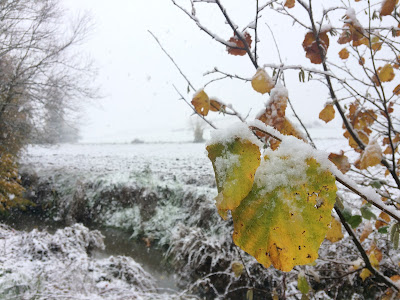 Agroturismo Arkaia. Nieve en Arkaia. Vitoria - Gasteiz