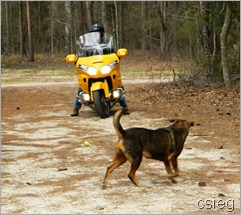 jan20   motorcycle Ride 12