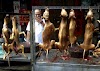 Festival de carne de cachorro começa na China; veja outros países que aderem à prática polêmica