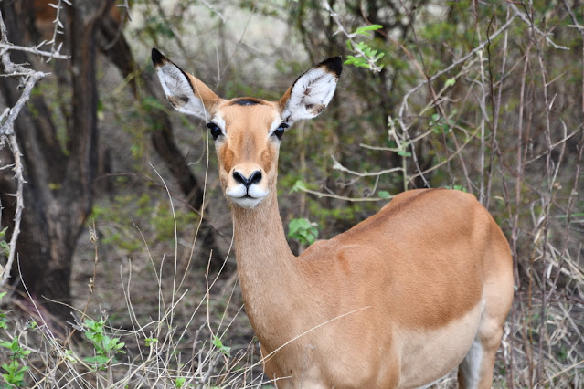 Tarangire National Park