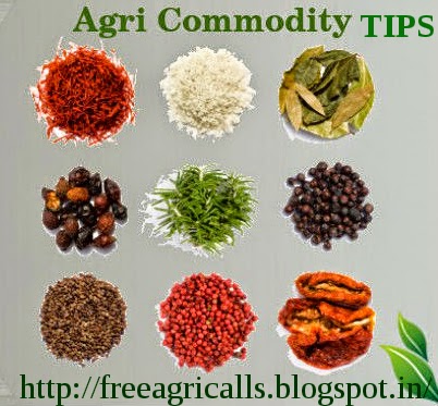 Agri Commodity Tips ,  Commodity free tips  , Commodity intraday tips  , commodity free tips