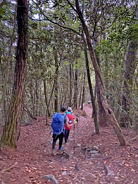 回程往登山口