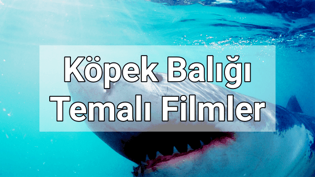 Köpek Balığı Temalı Film Önerileri