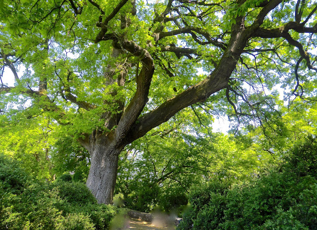 Parco-Giardino-Sigurtà