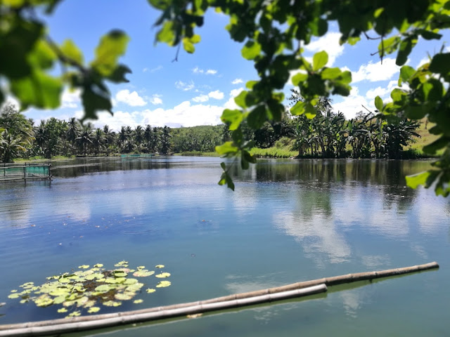 Buswang-Lake-Asturias-Cebu-Guide