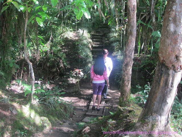 A Walk on the woods (Lake Agko)Boiling Lake, Fun Escapes, Lake Agco, Lake Agko, Woods: The Mahomanoy Mountain Resort.Fun Escapes, Kidapawan City, Lake Agco, Mahomanoy Mountain Resort, Mt. Apo: The Mahomanoy Resort’s Jacuzzi and mud pool.Fun Escapes, Jacuzzi, Kidapawan City, Lake Agco, Lake Agko, Mahomanoy Mountain Resort, mud pool, : The Mahoganoy Resort’s Steam bath.Fun Escapes, Kidapawan City, Lake Agco, Lake Agko, Mahomanoy Mountain Resort, Sauna, Steam Bath, How to get here (Lake Agco- Mahomanoy Mountain Res...Fun Escapes, habal-habal, Kidapawan City, Lake Agco, Mahomanoy Mountain Resort