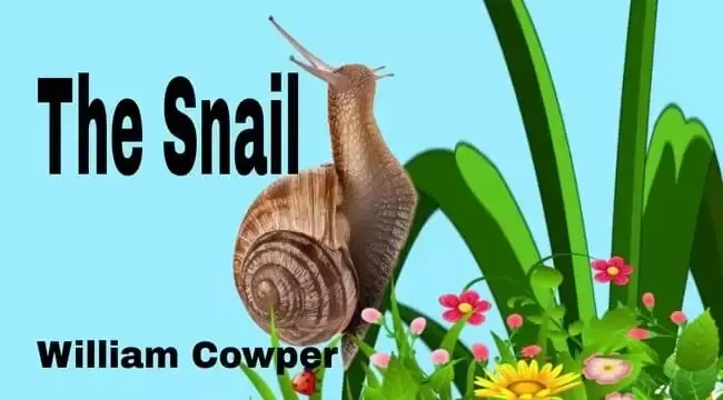 The Snail William Cowper
