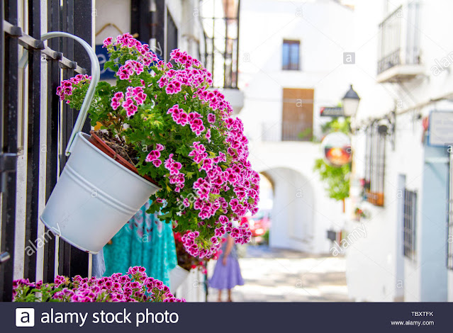 balcón flores altea calles mediterraneo benidorm azalea jazmin confinamiento