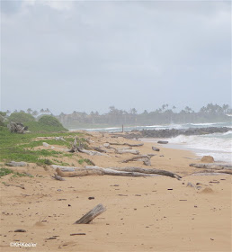 beach in Hawaii