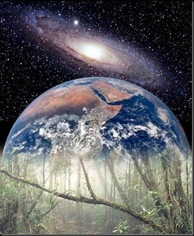 terra6