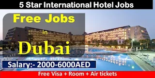 LEVA Hotels Dubai Jobs Vacancy For Bellman cum Drivers, Housekeeping Supervisors, Room Attendants, Laundry Attendants, General Technicians & More | All Nationality Candidates Can Apply