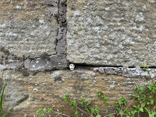 A photo of a small ceramic skull (Skulferatu #109) in a gap between the stones in the wall that sits around the memorial to the Battle of Roslin.  Photo by Kevin Nosferatu for the Skulferatu Project.