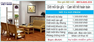 Diệt mối tận gốc, phòng chống mối an toàn và hiệu quả