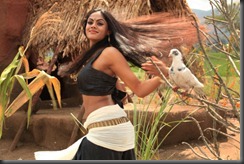 Actress Karthika Nair in Ravi Varma Movie Hot Stills