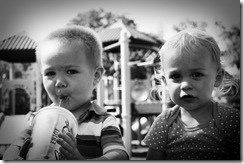 IMG_2142 copy