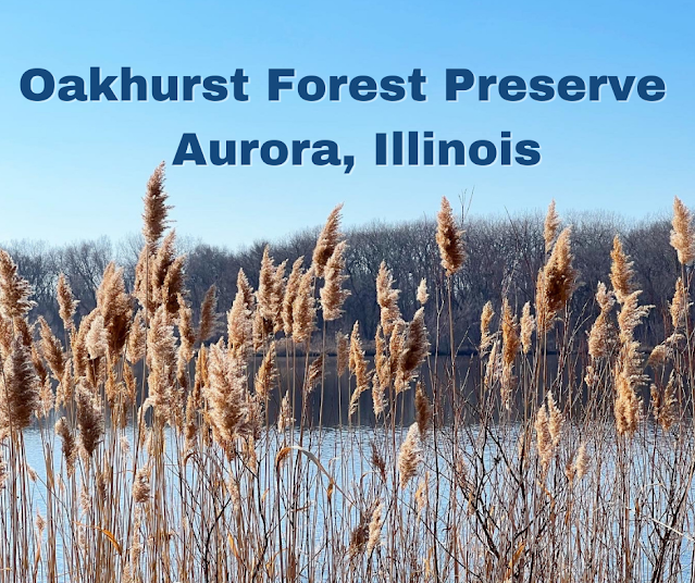 Splendid Lake Views at Oakhurst Forest Preserve in Aurora, Illinois