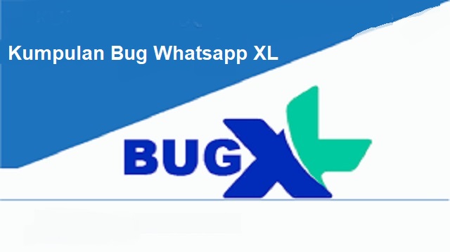 Bug Whatsapp XL