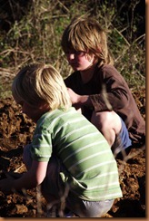 Maleny 2011-07-19 029