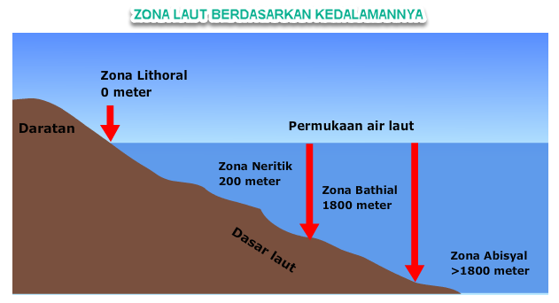 ZONA LAUT