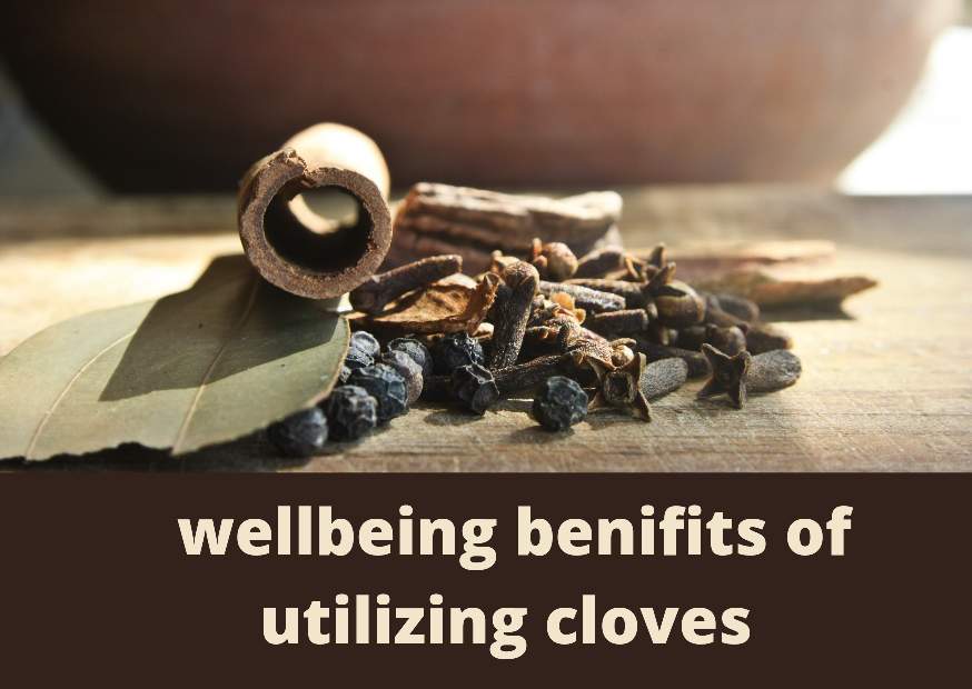 wellbeing benifits of utilizing cloves