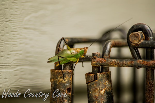 SEPTEMBER 2015 (2 of 51)