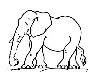 Coloring Pages Zoo Elephant