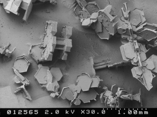 snow-microscope (17)