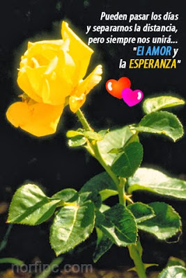 Cartas romanticas de amor, frases lindas