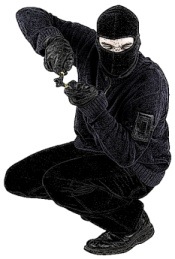 thieves break in and steal