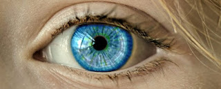 Interesting Facts About Human Eyes