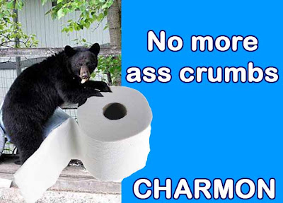 toilet paper bear