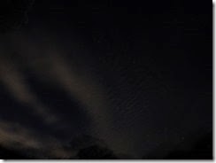 DSCF7115