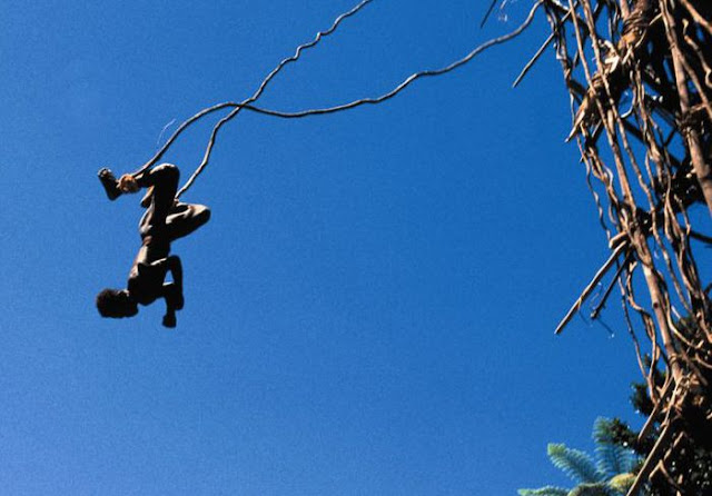 Land Diving In Vanuatu