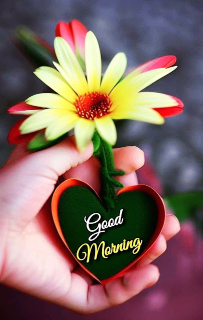 Good Morning Images With Flowers Love