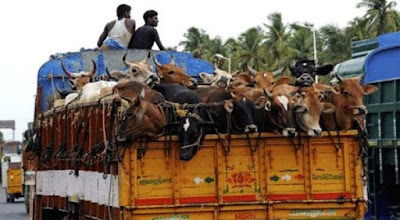 Ban Meat Beef Illegal UP Yogi Adityanath crackdown