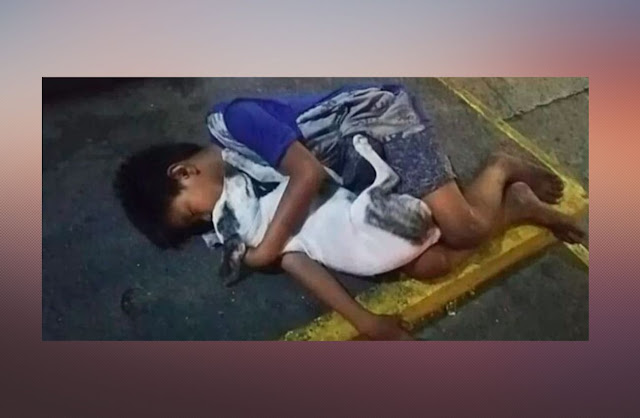 Imagens de menino dormindo na rua abraçado a cachorro sensibilizam internautas