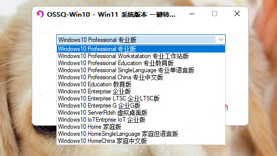 Windows 10 Windows 11 Edition One-Click Switch