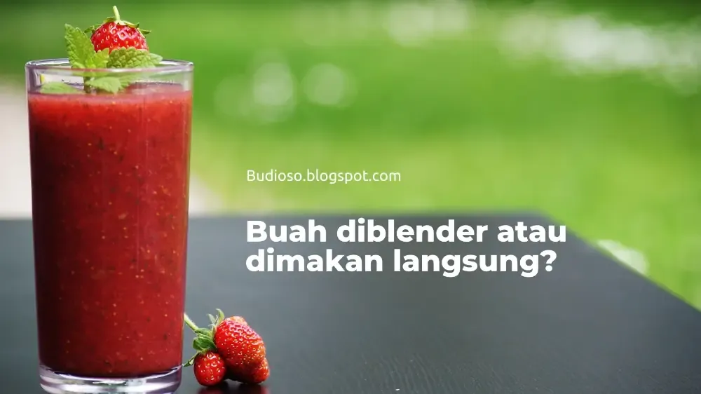 Buah sebaiknya untuk kesehatan dimakan langsung atau diblender - Budioso.blogspot.com