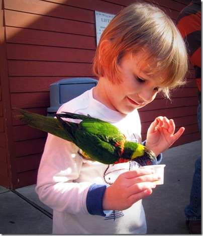 joefeedingbird1