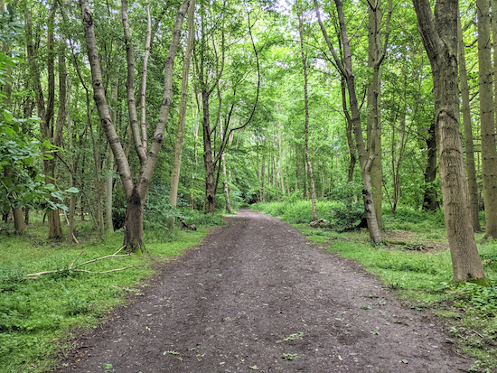 The permissive path heading through Rothamsted Manor woodland