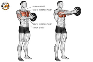 The Chest Exercises and Workouts You Need to Build Bigger Pecs