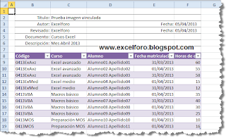 Copiar y Pegar como imagen en un libro de Excel.