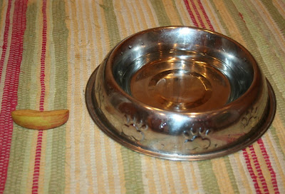 slice of Fuji apple on the kitchen rug with water bowl next to it