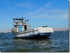 DSCN3447